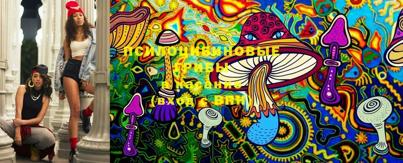 Галлюциногенные грибы Magic Shrooms  Кингисепп 